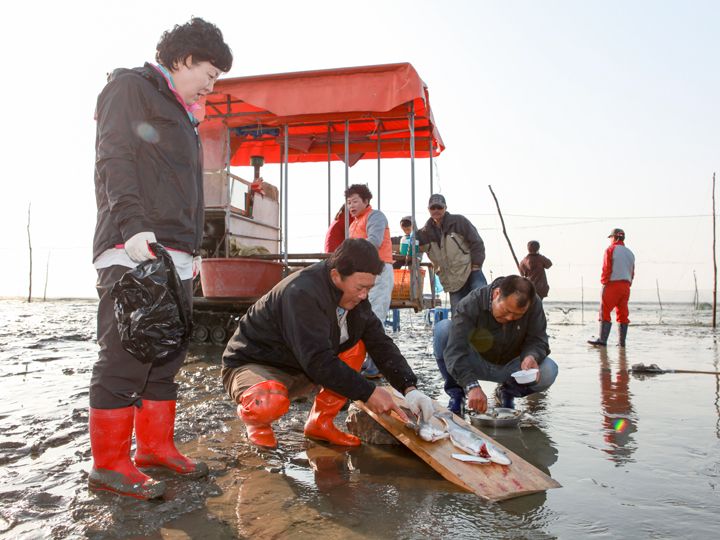 干潟の真ん中で朝食を