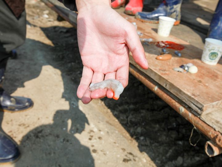 歯ごたえ抜群のタコは
磯の香りがたっぷり!