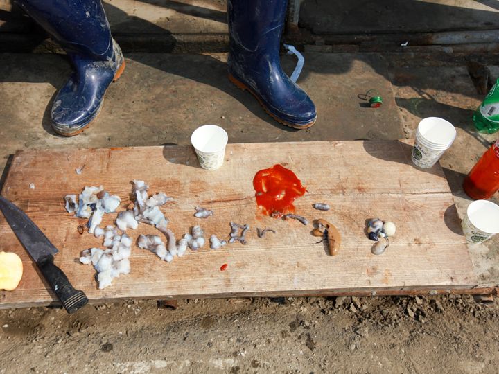 捕れたばかりのテナガダコも
生きたまま、その場で調理