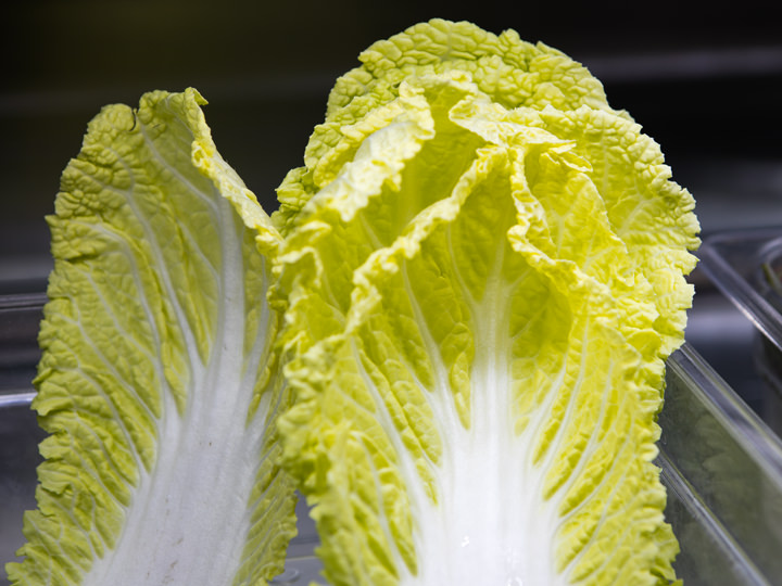 白菜を生でいただくのも韓国スタイル