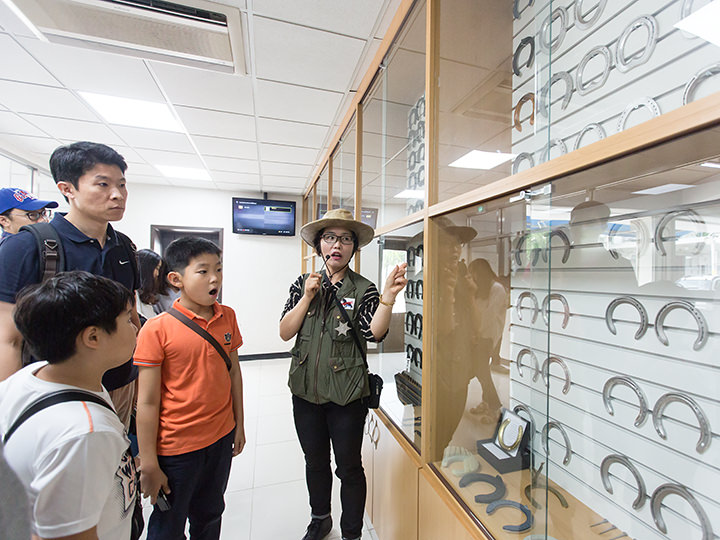 「馬の蹄クリニック」に展示された様々な蹄