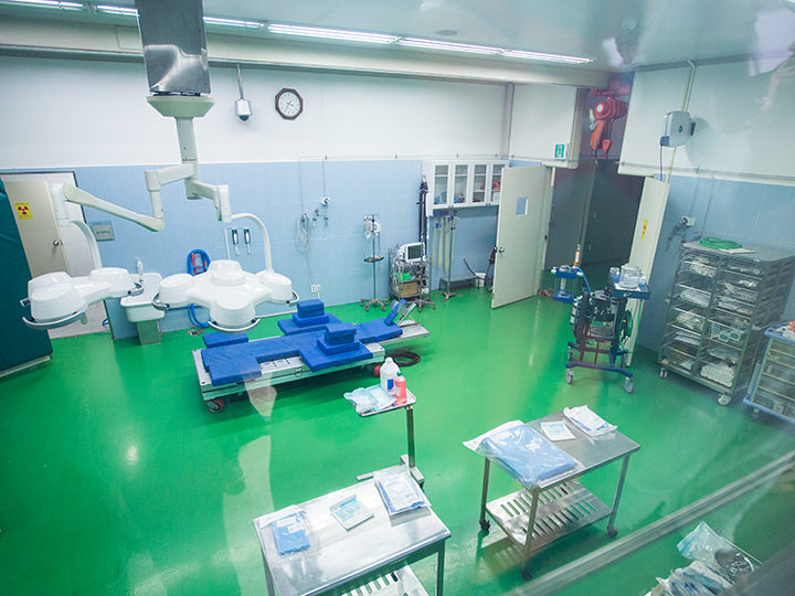医療設備が整っている「馬病院」内部