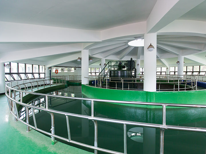 リハビリや体重管理などに用いられる「馬専用プール」