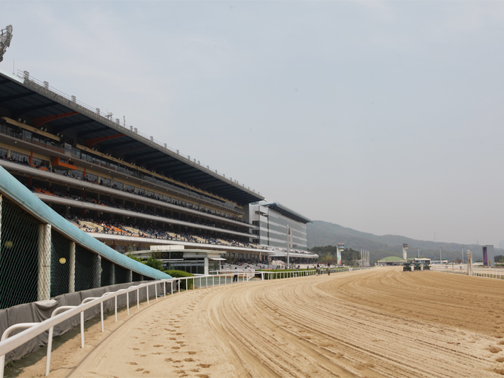 馬の調教場も兼ね、砂が敷かれている馬場