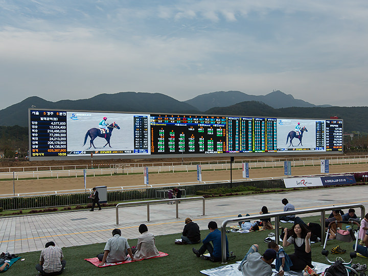 馬場に設置された、長さ127.2mの巨大スクリーン