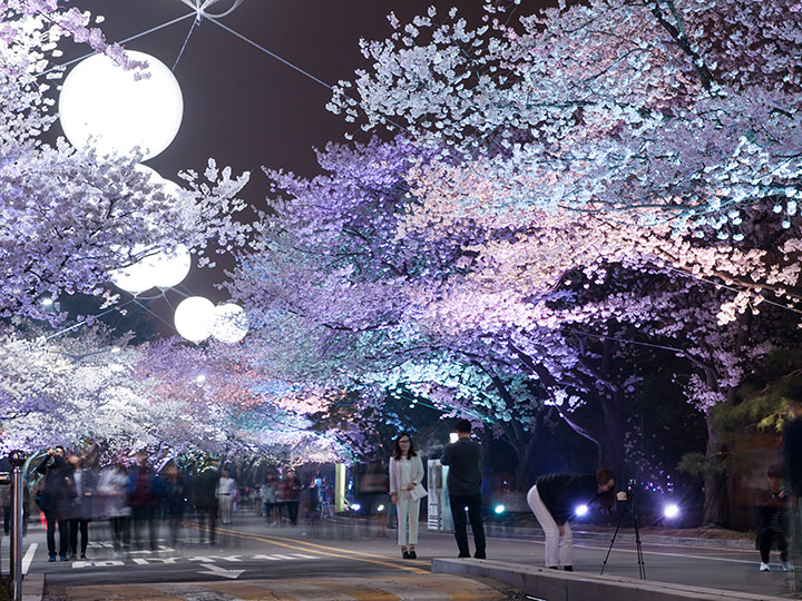 ※写真提供:「レッツランパークソウル」