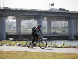 公園内はサイクリングロードも整備されている