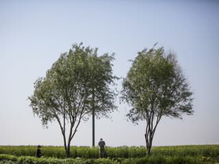 まるで田舎に来たような風景