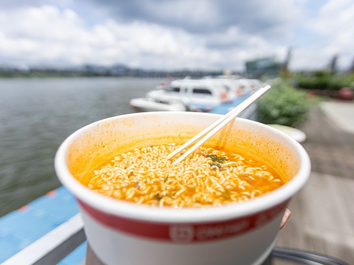 盤浦漢江公園・月光レインボー噴水｜江南駅・三成(COEX)(ソウル)の観光