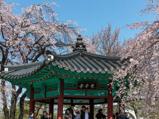 春は桜が美しくお花見スポットとしても有名
