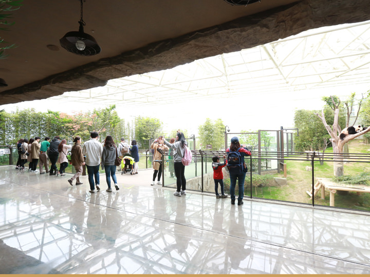 立派なパンダ舎