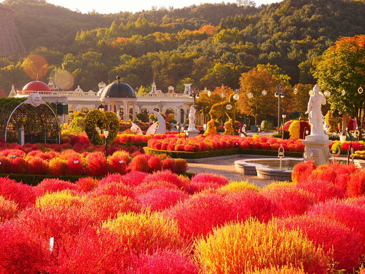 3.ヨーロピアンアドベンチャー
四季折々に美しい庭園とライトアップ、優雅な回転木馬も人気。絶叫コースター「Tエクスプレス」もこのエリアに!
©エバーランド