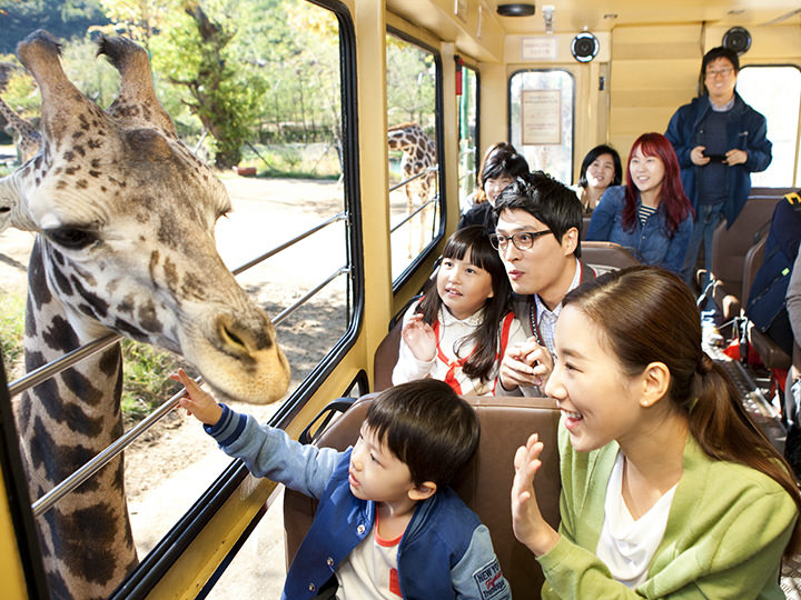 100センチ未満の子供は保護者同伴
©エバーランド