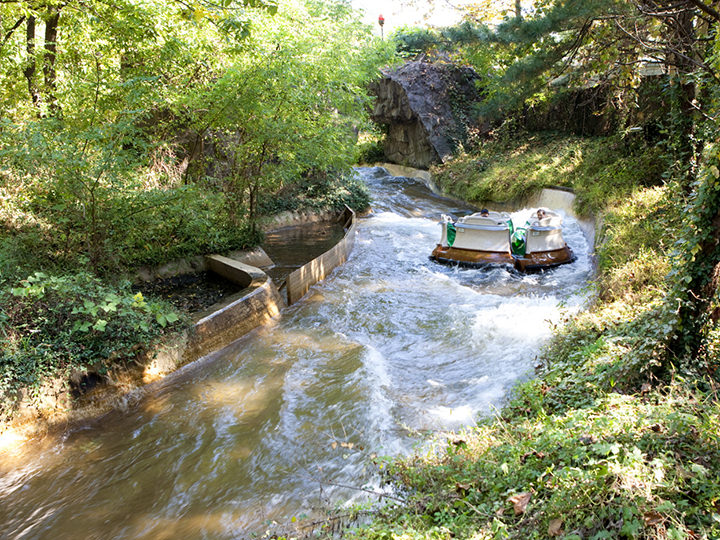 突然、密林の影から…!
©エバーランド
