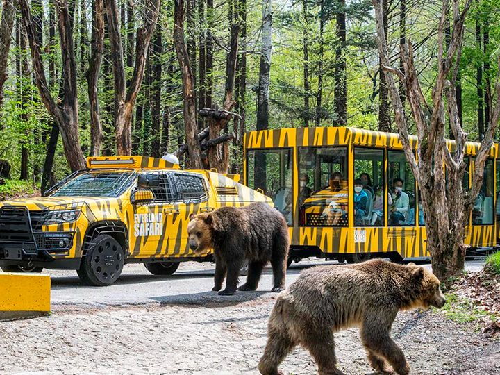 サファリトラムでいざ、サファリワールドへ!
©エバーランド