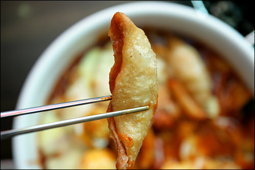 揚げ餃子(追加トッピング)