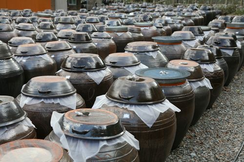 伝統製法はオンギと言う甕で発酵させる