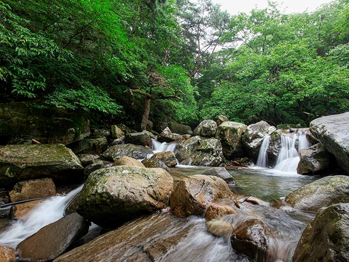 無等山旧路(イェッキル)探訪とセットで
ぜひ訪れてほしいところ