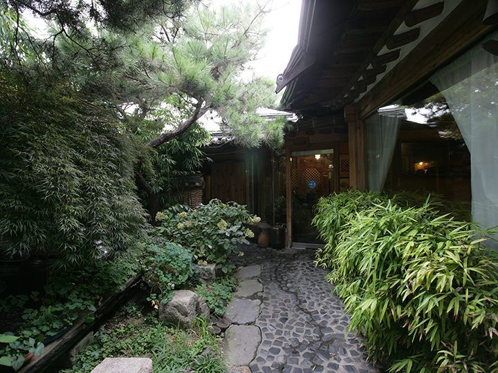 野草をふんだんに使った健康志向の韓定食を提供