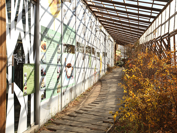 植物の通りを過ぎれば4階(屋上)