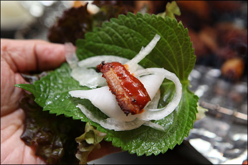 んな風に葉っぱに包みます