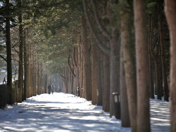真冬の極寒韓国旅行の楽しみ方 季節 シーズン 特集 韓国旅行 コネスト