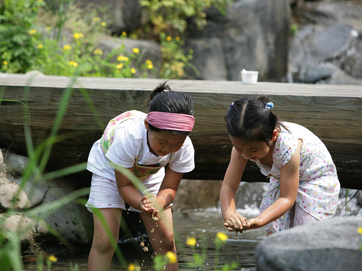子どもたちも遊べる夏の小川