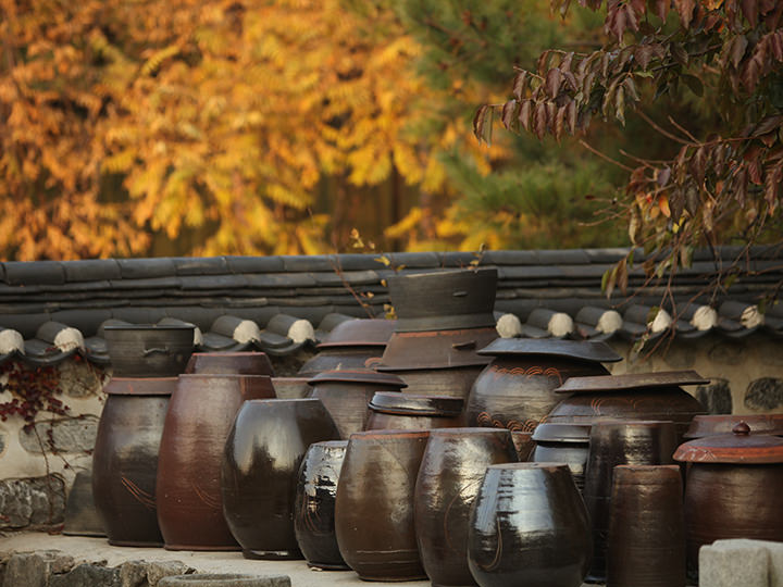 紅葉が美しい秋