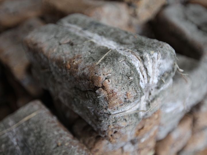 よく発酵した豆麹は旨味の源