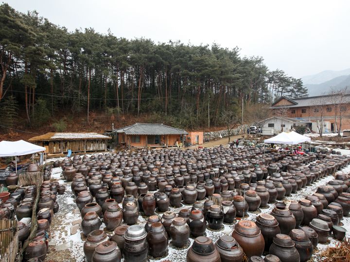 松花粉が舞う春、甕の中の醤油は一層風味が増す