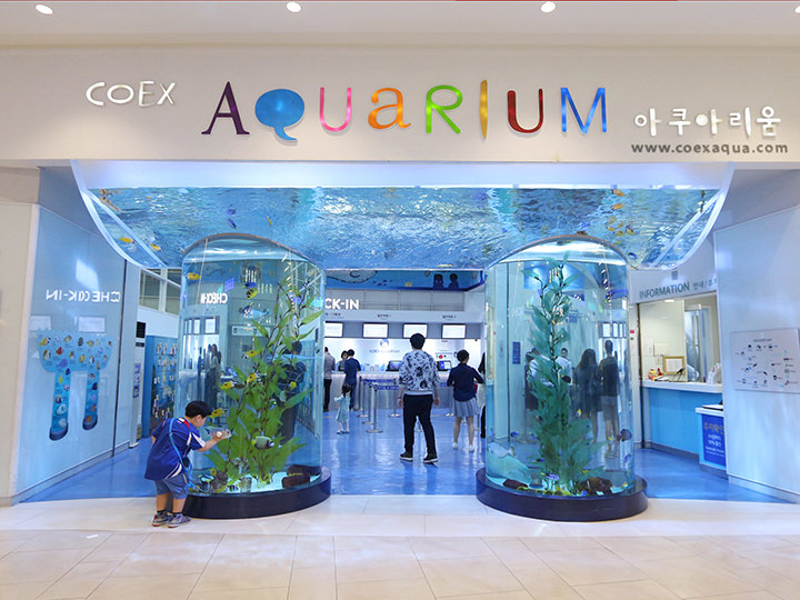 Coexアクアリウム 江南駅 三成 Coex ソウル の観光スポット 韓国旅行 コネスト Coexアクアリウム 江南駅 三成 Coex ソウル の観光スポット 韓国旅行 コネスト