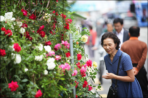 タシニョ(따시녀)
따뜻한 시골 여자(タトゥタン シゴル ヨジャ:暖かい田舎の女)というのもあり・・・
