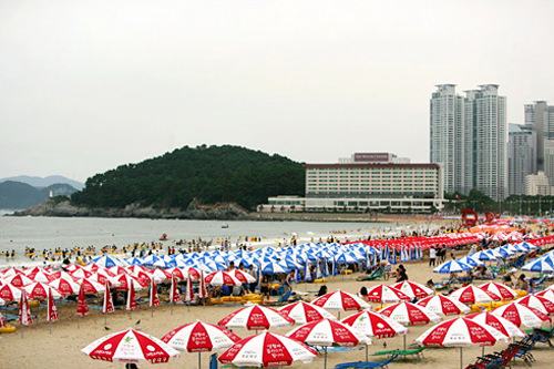 釜山をはじめ、韓国全国で利用可能!