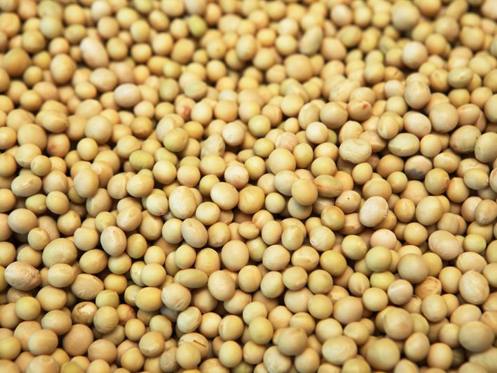 良質の大豆が味わいの元に