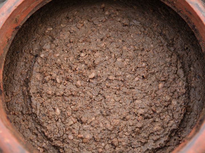 気温の高い日には発酵が進み甕の淵まで盛り上がる