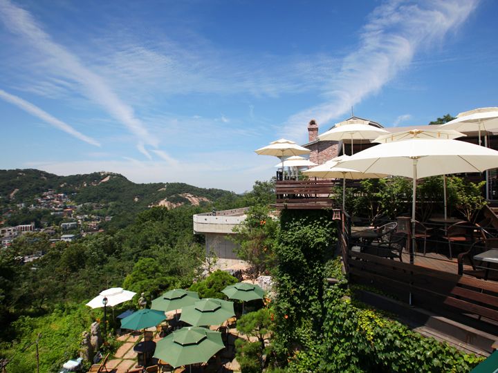 雨や雪の日を除き、年中テラス席を楽しめます