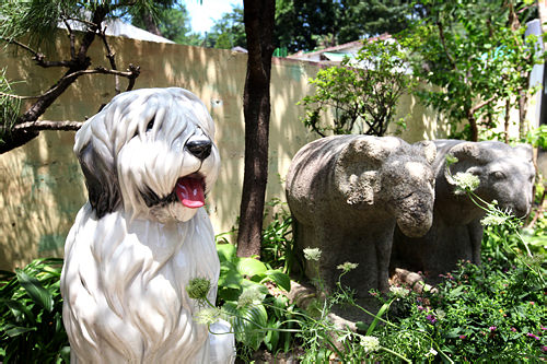 ハンソンの愛犬、モップちゃん