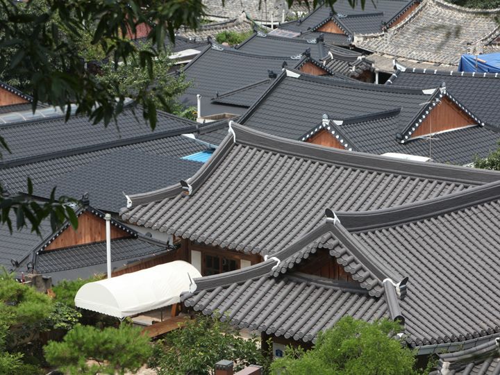 展望台からの景色