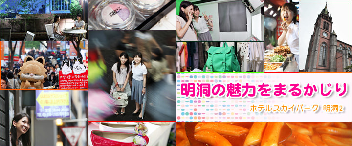 明洞の魅力をまるかじり ホテルスカイパーク 明洞2