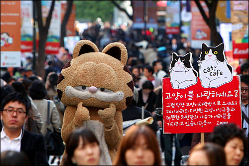 3.明洞に増殖中の