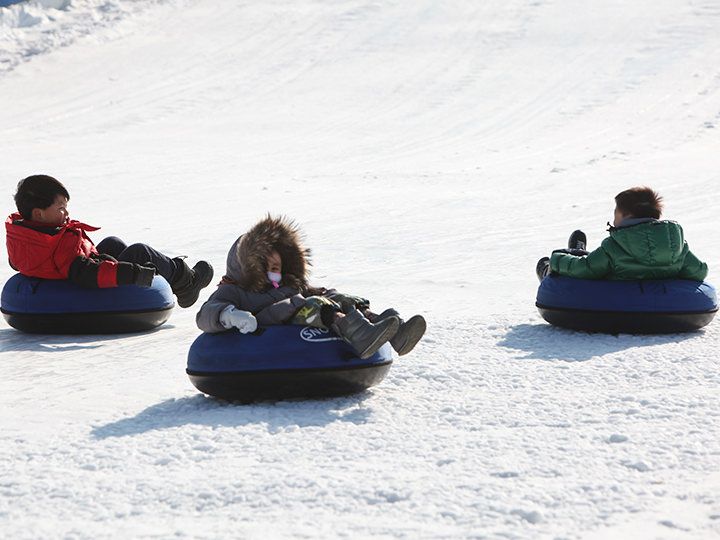 雪ソリは子どもから大人まで楽しめる
