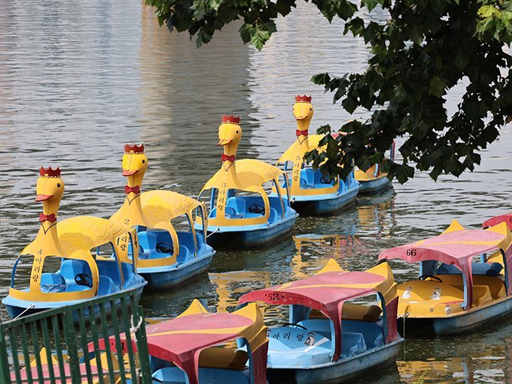 アヒルボート 30分25,000ウォン~30,000ウォン
※3人まで乗車可