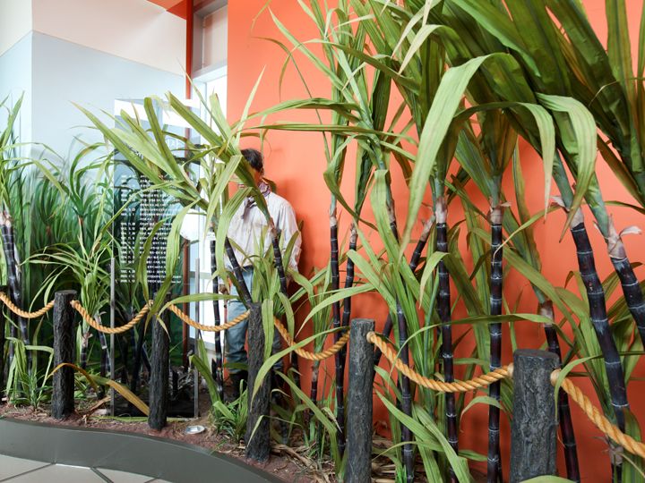 サトウキビ畑のジオラマ