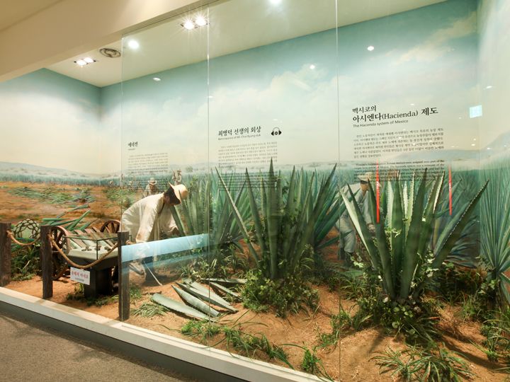 メキシコの農場のジオラマ