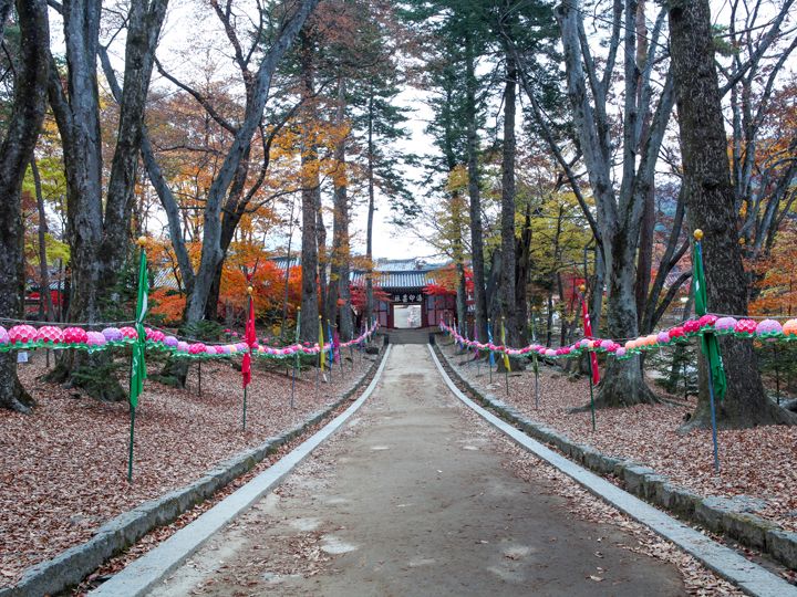 海印寺｜大邱(安東・大邱・慶尚道)の観光スポット｜韓国旅行