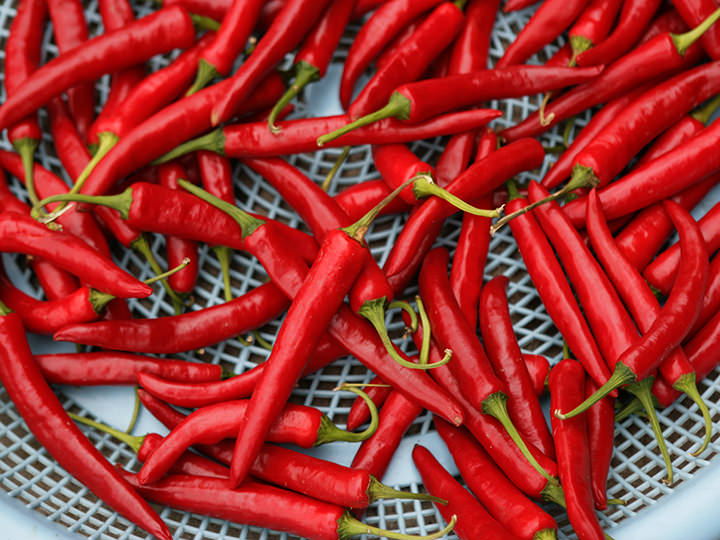 唐辛子に含まれるカプサイシンは脂肪燃焼効果も