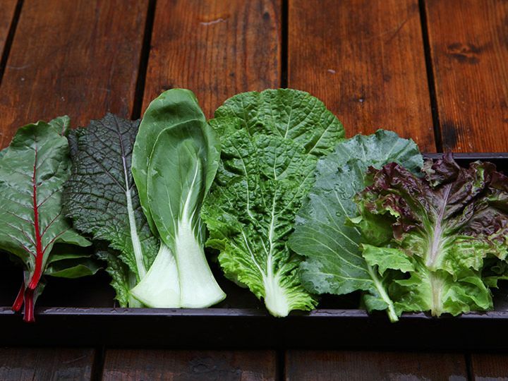 包み野菜の種類も豊富