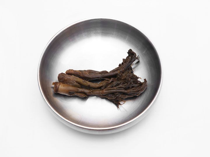 たらの芽の和え物