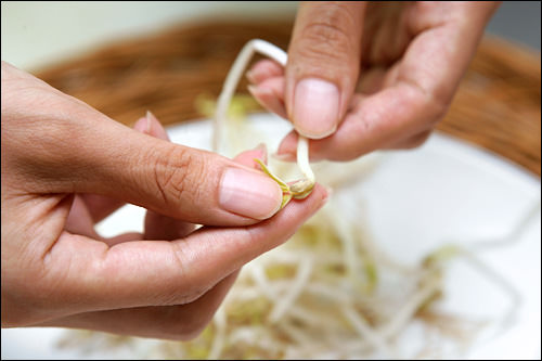 料理で使う韓国語 韓国語 ハングル 韓国旅行 コネスト