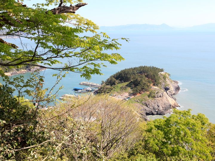 真下には亀の首のように見える「コブギモッ」